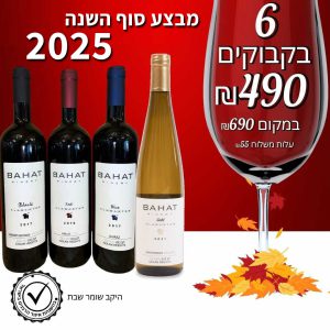 מבצע 2025 – 6 בקבוקים מכל סוג