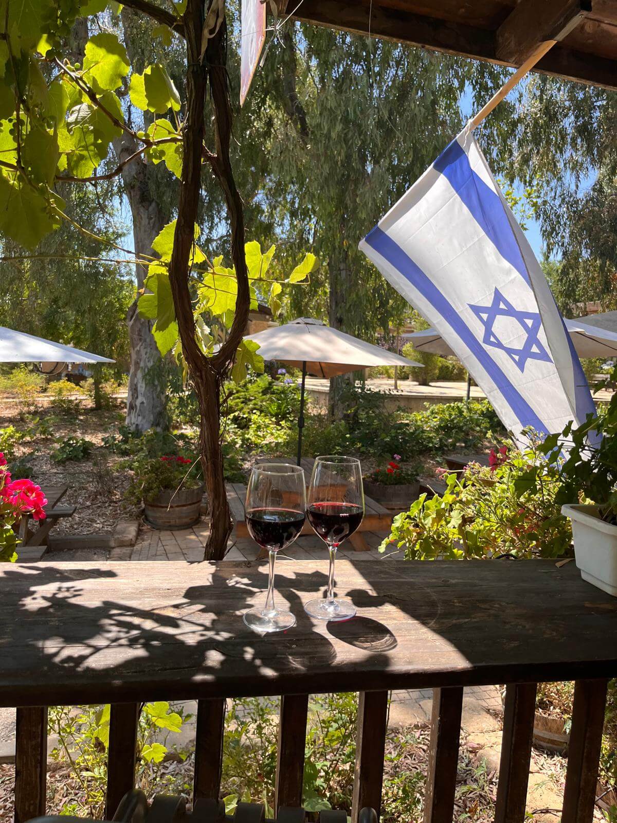 יקב בצפון עם ארוחת בוקר זוגית להזמנה אונליין